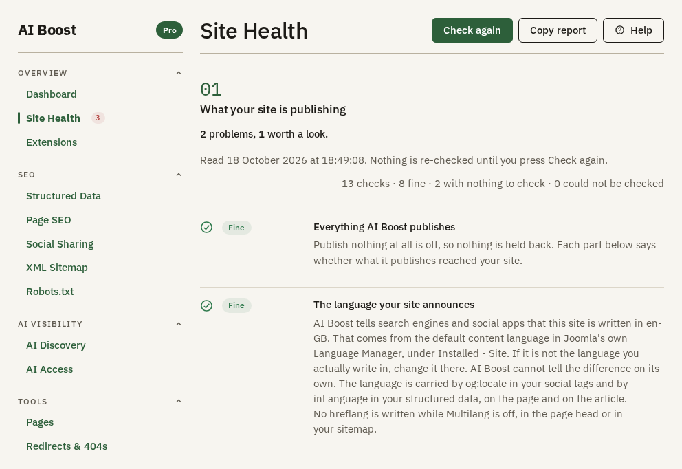 The Site Health report